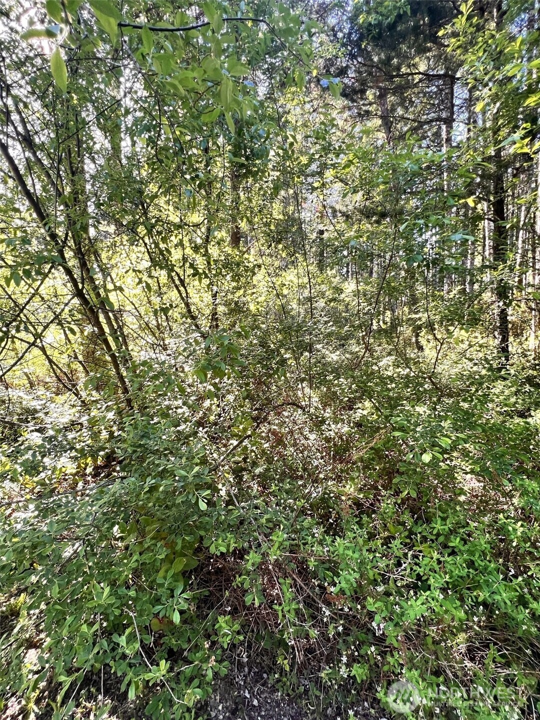 61 NE Fern Court Tahuya WA 98588