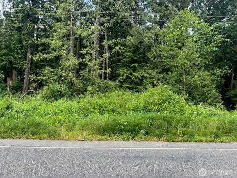 0 Cain Lake Road Sedro Woolley WA 98284