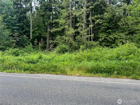 0 Cain Lake Road Sedro Woolley WA 98284