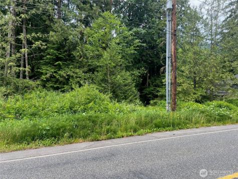 0 Cain Lake Road Sedro Woolley WA 98284