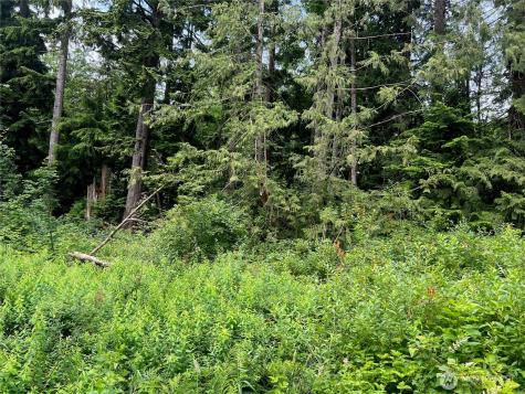 0 Cain Lake Road Sedro Woolley WA 98284