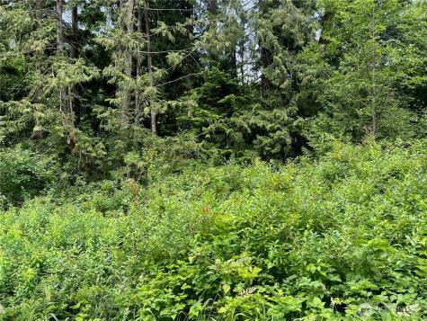 0 Cain Lake Road Sedro Woolley WA 98284