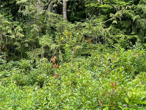 0 Cain Lake Road Sedro Woolley WA 98284