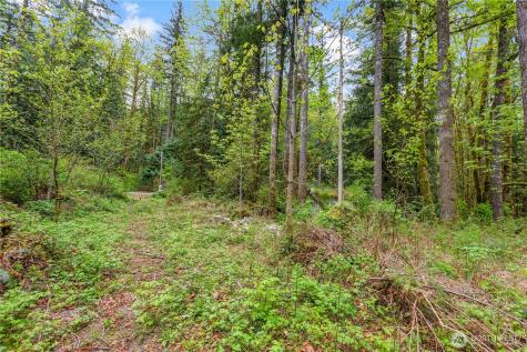 51223 195th Place SE Index WA 98256