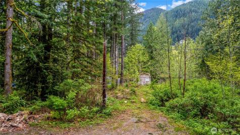 51223 195th Place SE Index WA 98256