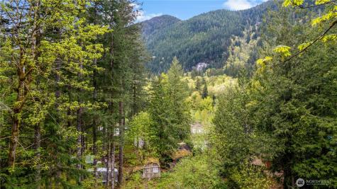 51223 195th Place SE Index WA 98256