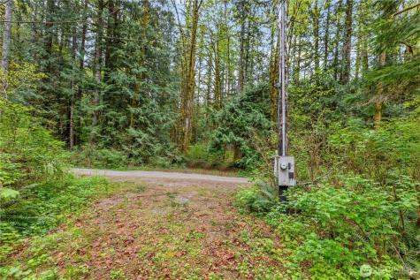 51223 195th Place SE Index WA 98256