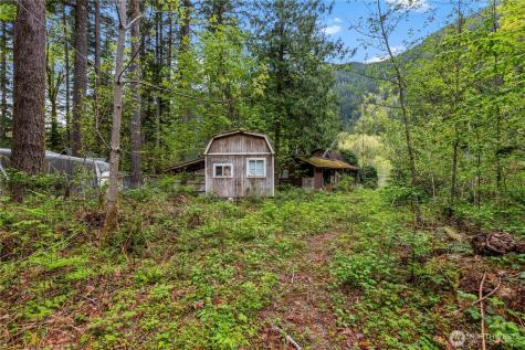 51223 195th Place SE Index WA 98256