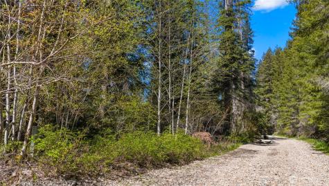 541 Heron Drive Cle Elum WA 98922