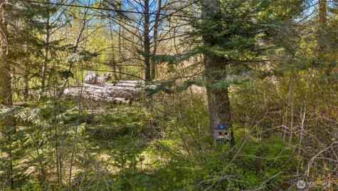 541 Heron Drive Cle Elum WA 98922