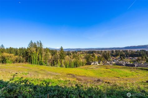 0 Green View Estates 2 Washougal WA 98671