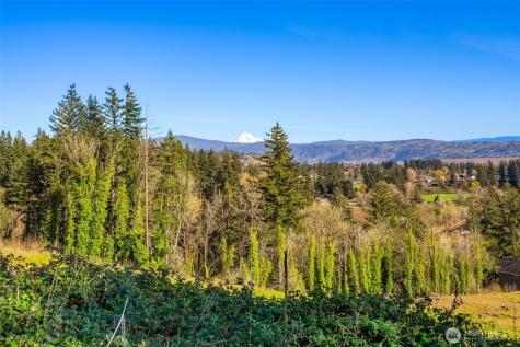 0 Green View Estates 2 Washougal WA 98671