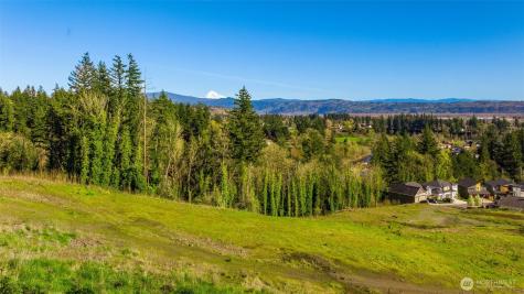 0 Green View Estates 2 Washougal WA 98671