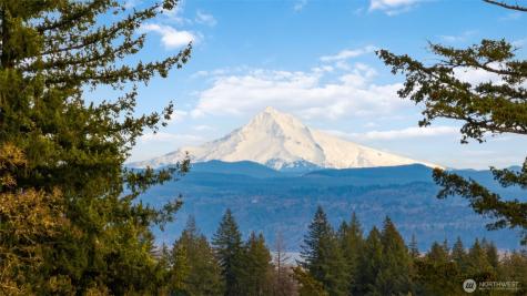 0 Green View Estates 2 Washougal WA 98671