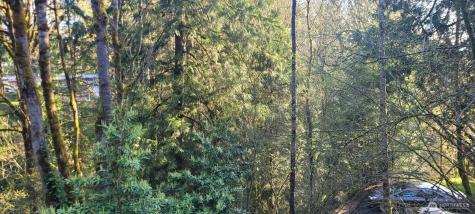 1317 Wildwood Boulevard SW Issaquah WA 98027