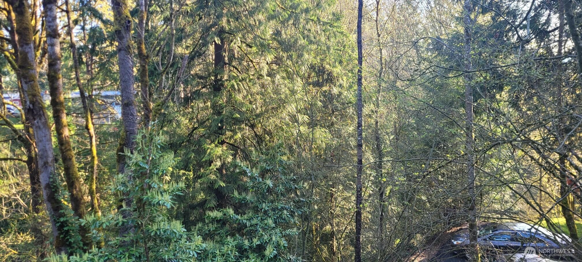 1317 Wildwood Boulevard SW Issaquah WA 98027