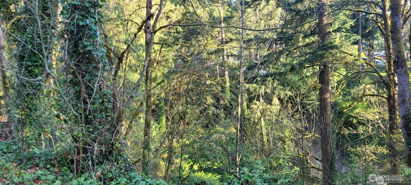 1317 Wildwood Boulevard SW Issaquah WA 98027