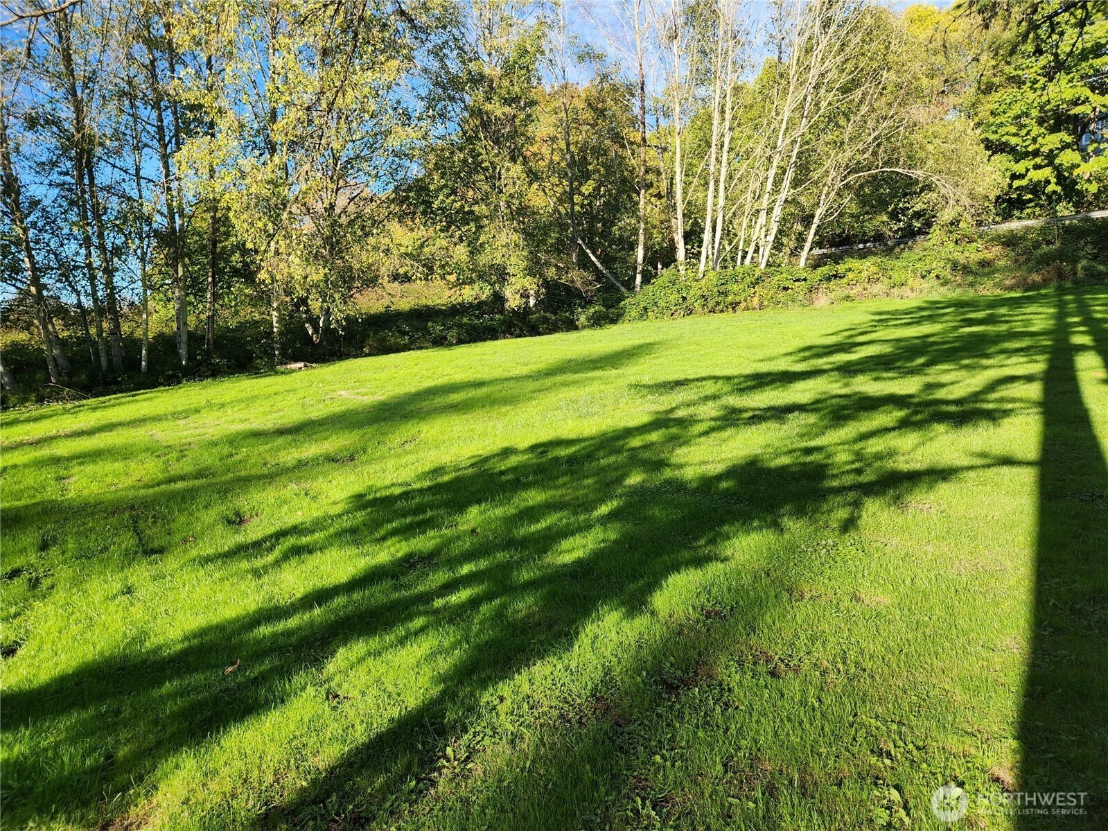 9859 Redmond-woodinville Road NE Redmond WA 98052