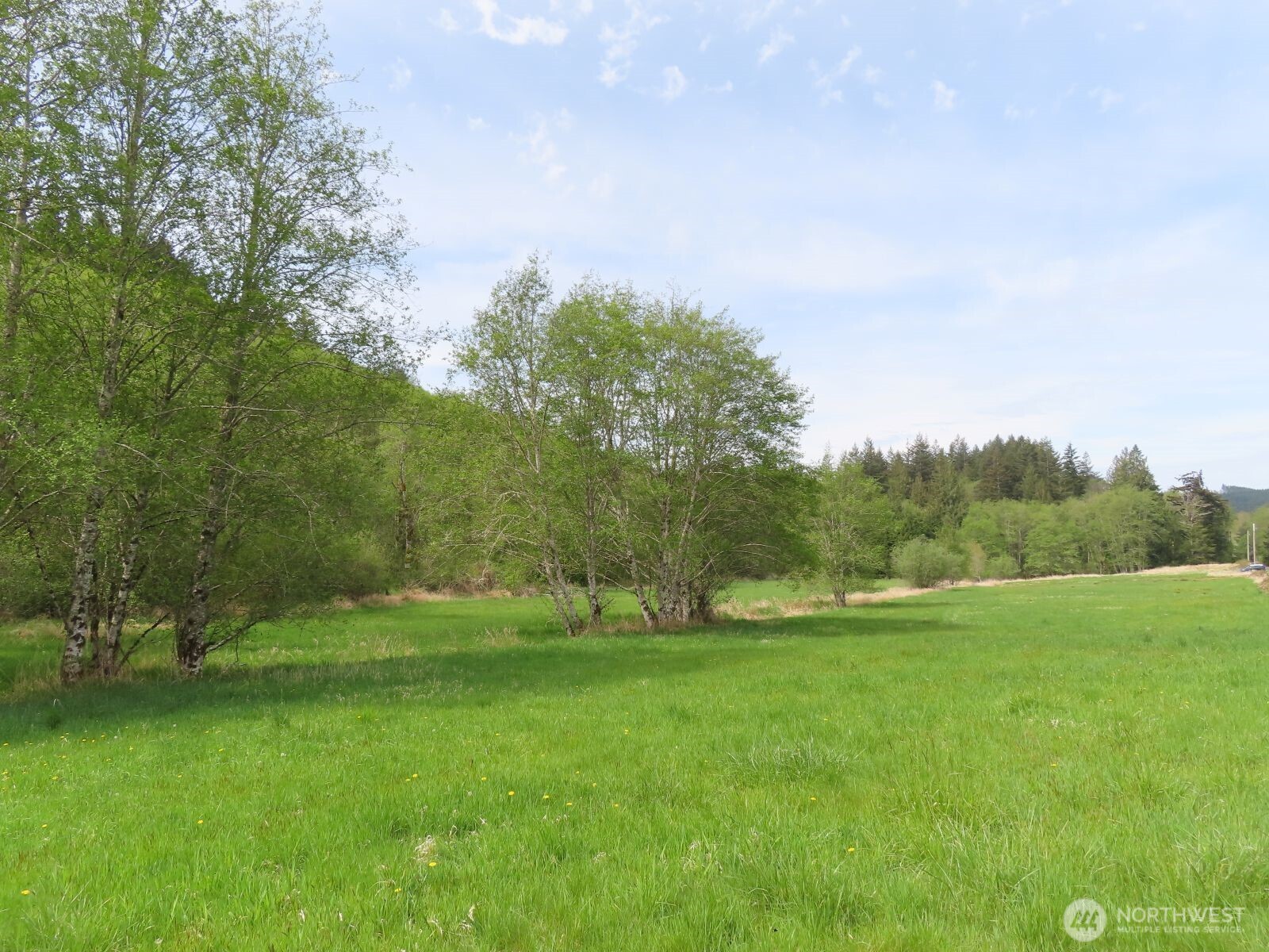 0 Hagen Road Mossyrock WA 98645