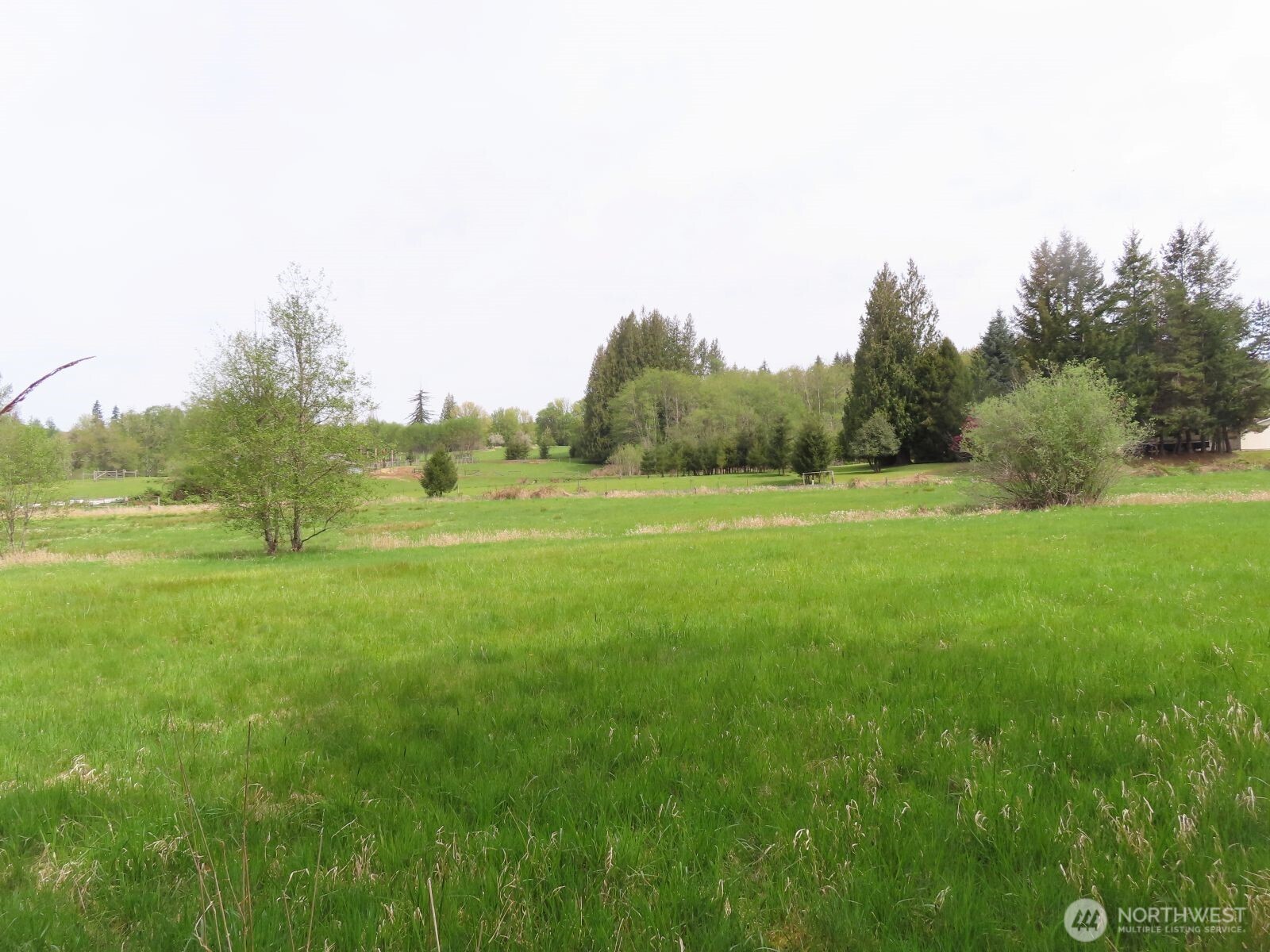 0 Hagen Road Mossyrock WA 98645