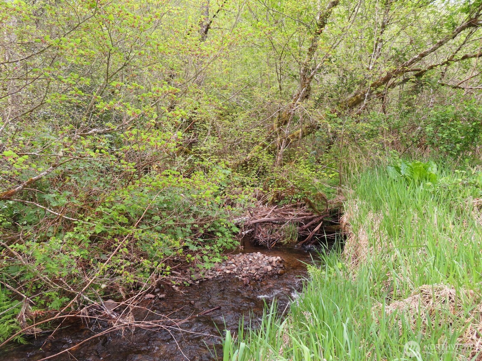 0 Hagen Road Mossyrock WA 98645