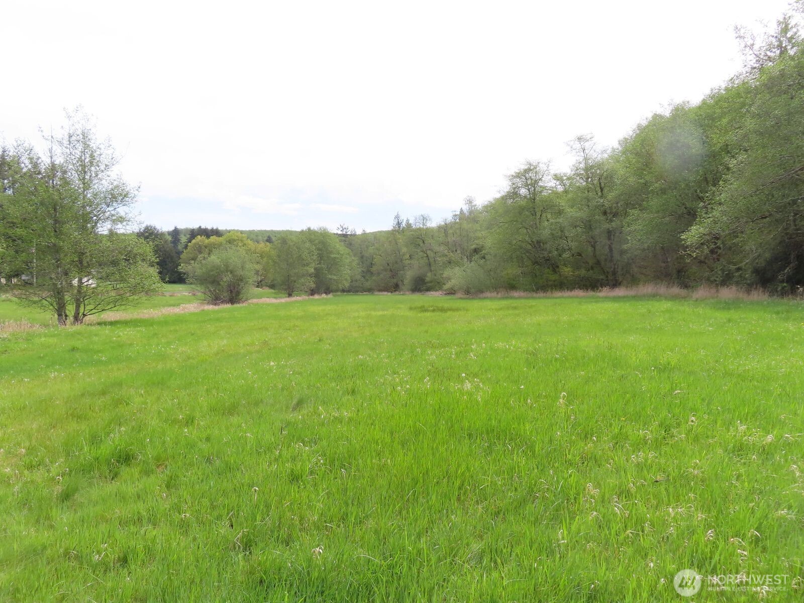 0 Hagen Road Mossyrock WA 98645