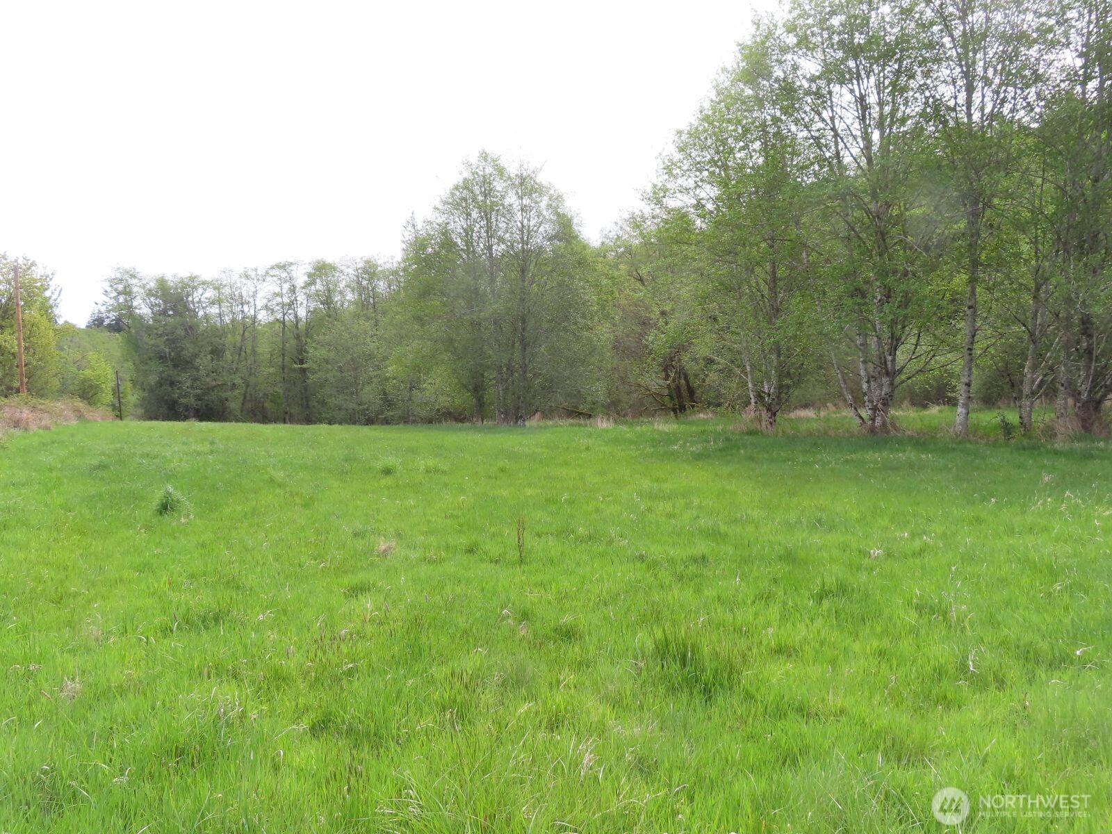 0 Hagen Road Mossyrock WA 98645