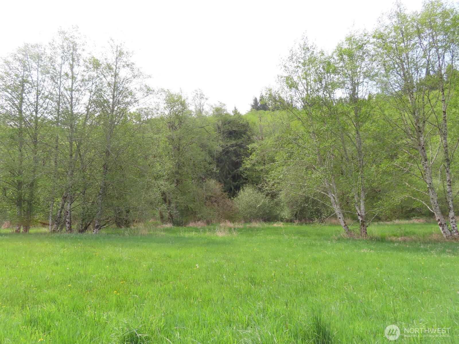0 Hagen Road Mossyrock WA 98645