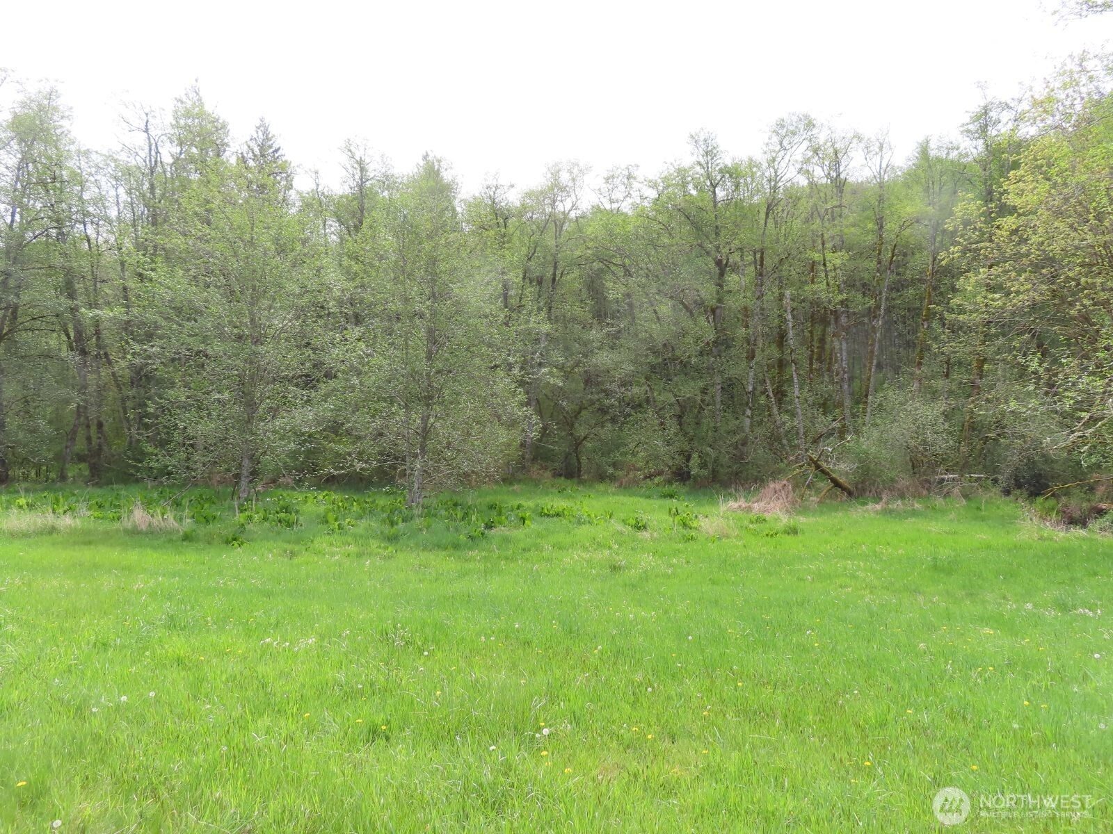 0 Hagen Road Mossyrock WA 98645