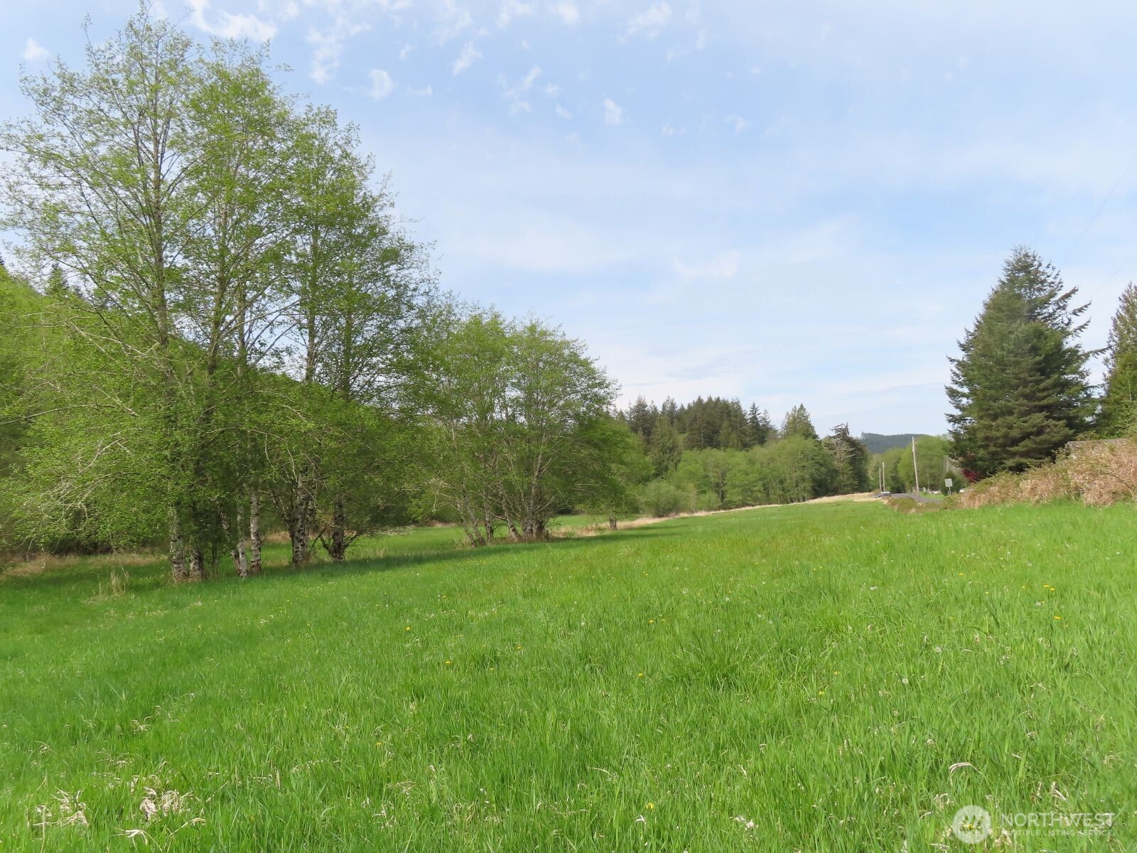 0 Hagen Road Mossyrock WA 98645