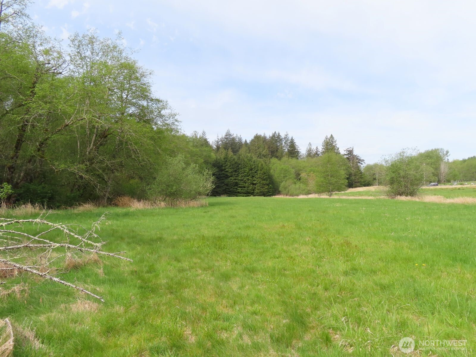 0 Hagen Road Mossyrock WA 98645