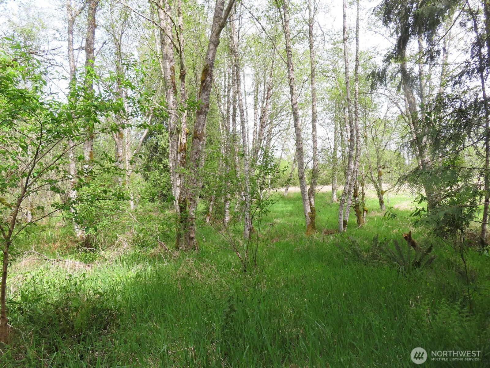 0 Hagen Road Mossyrock WA 98645