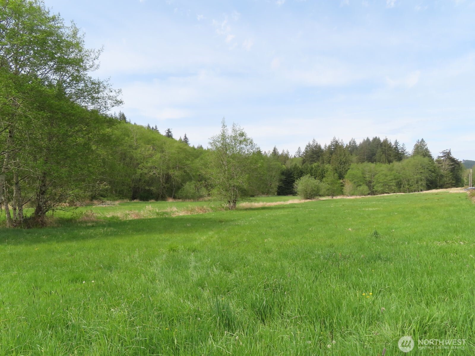 0 Hagen Road Mossyrock WA 98645
