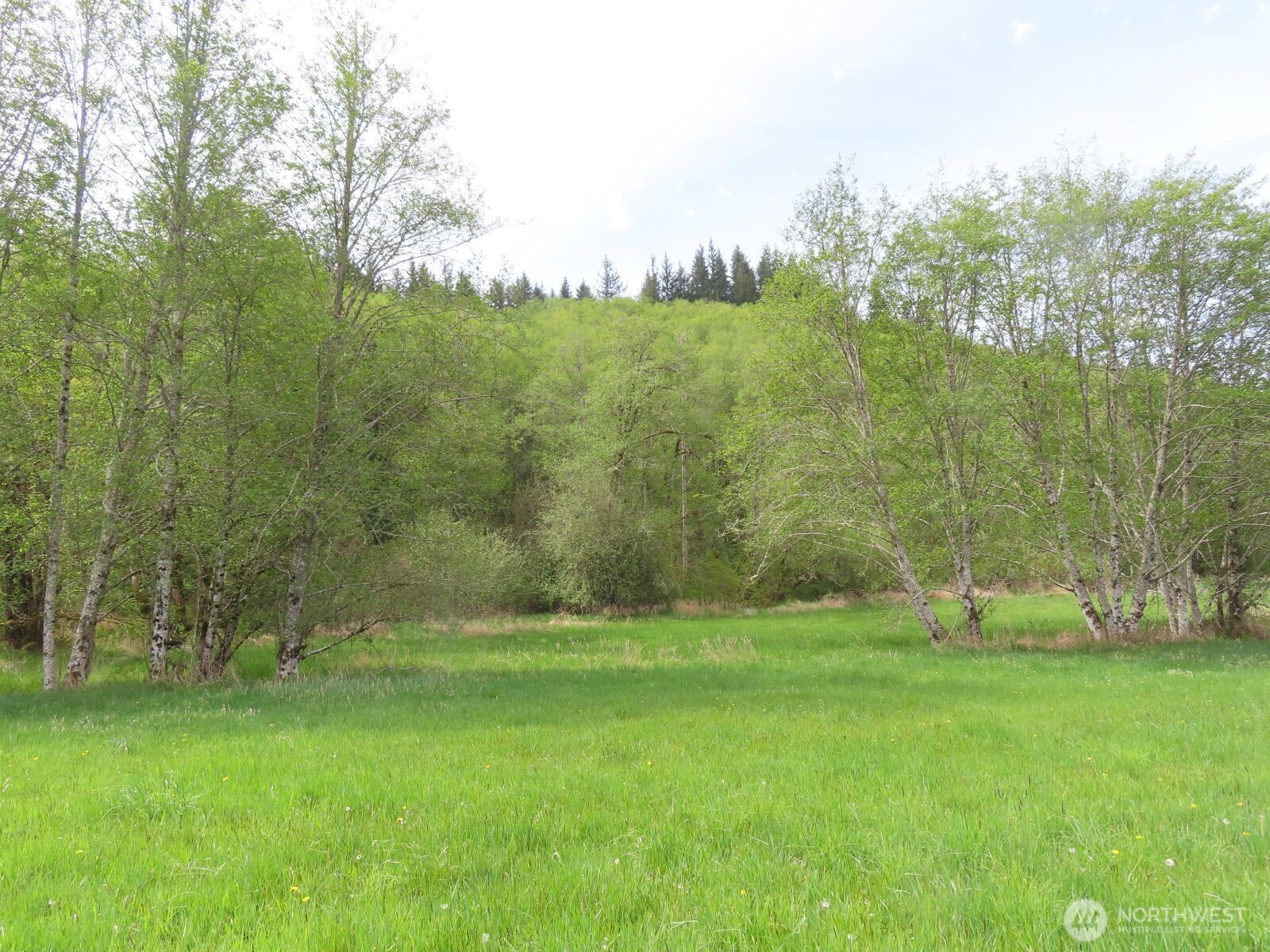 0 Hagen Road Mossyrock WA 98645