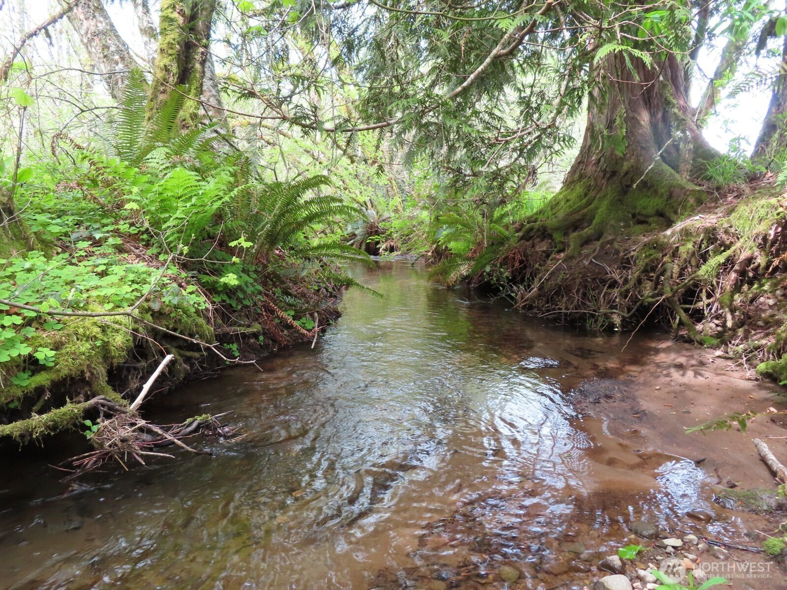0 Hagen Road Mossyrock WA 98645