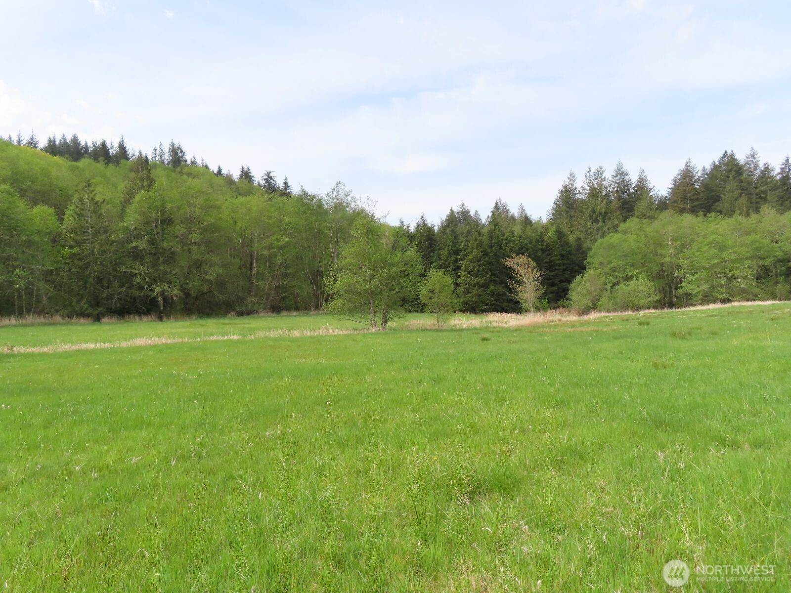 0 Hagen Road Mossyrock WA 98645