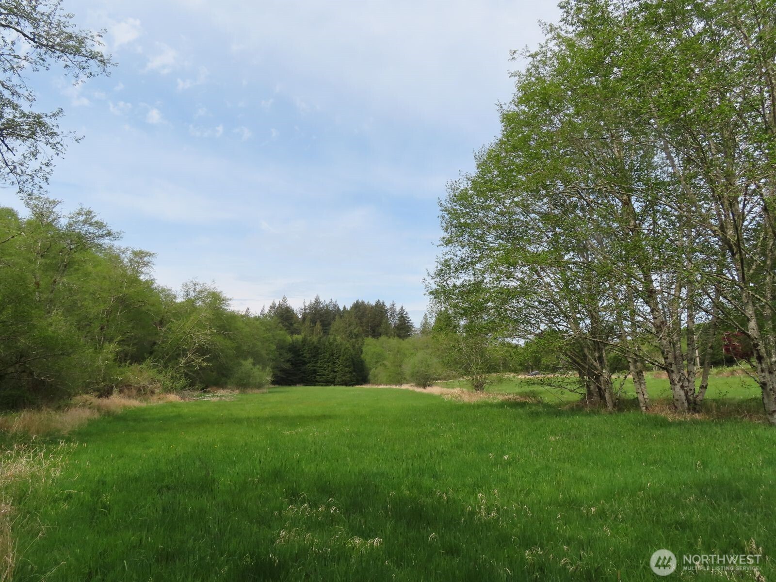 0 Hagen Road Mossyrock WA 98645