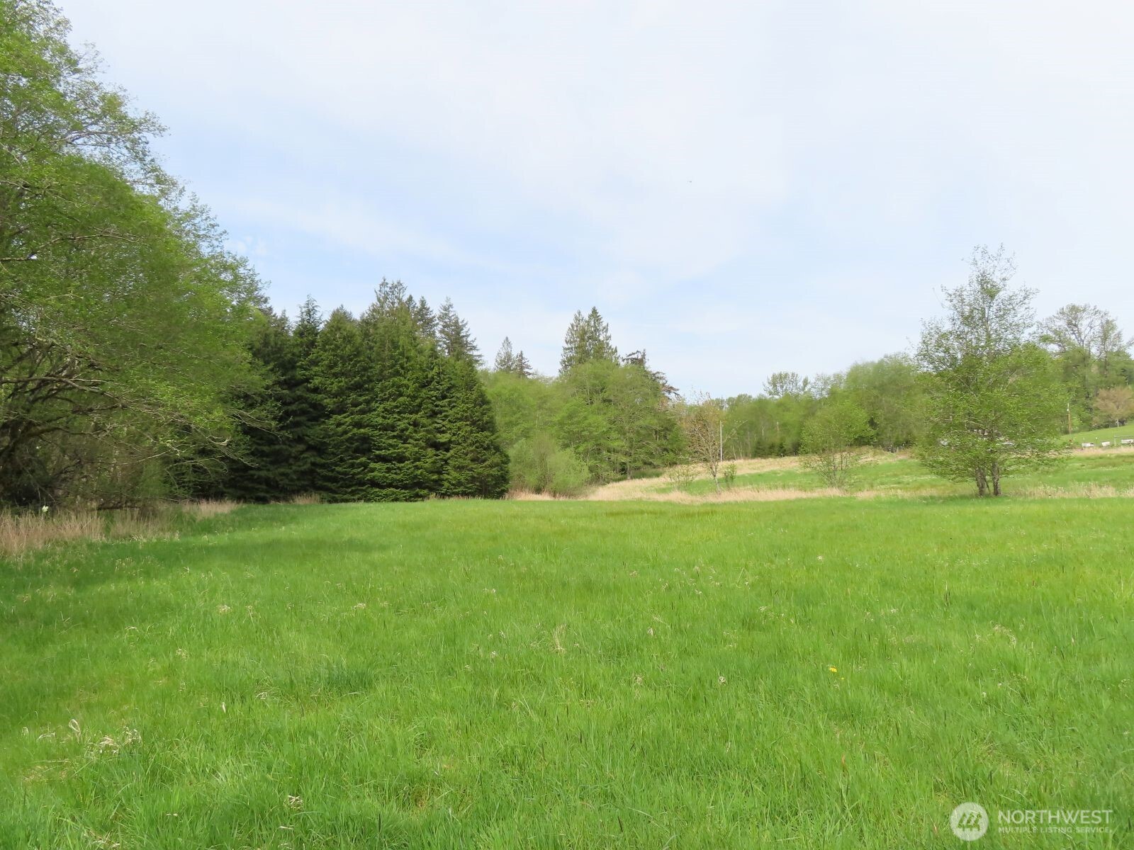 0 Hagen Road Mossyrock WA 98645