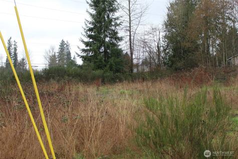 9119 20th Street SE Lake Stevens WA 98258