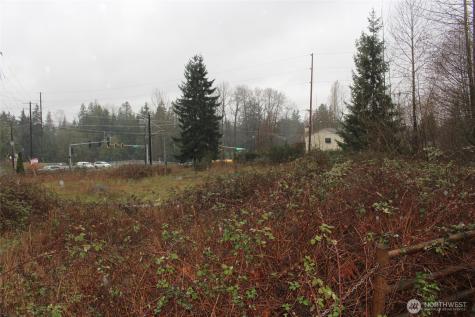 9119 20th Street SE Lake Stevens WA 98258