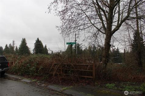 9119 20th Street SE Lake Stevens WA 98258