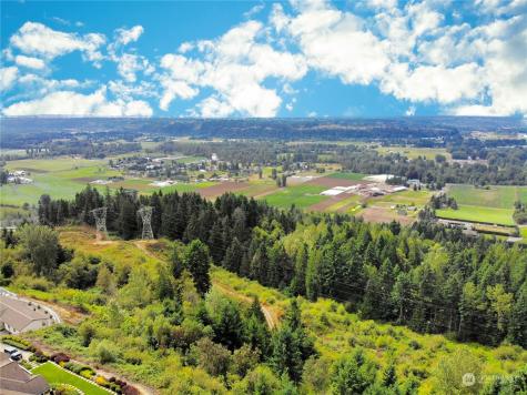 7814 176th Avenue Court E Bonney Lake WA 98391