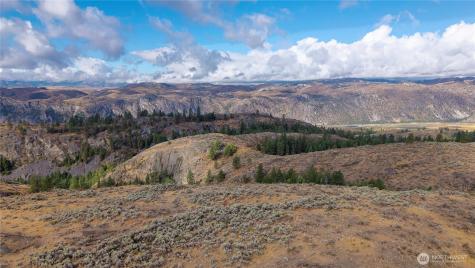 0 Tbd Pharr Out - 15 Way Omak WA 98841