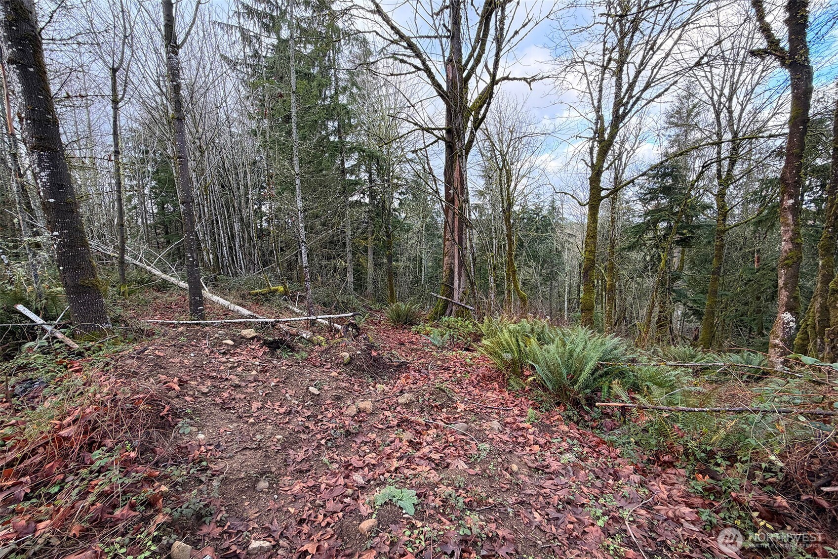 27005 262nd Avenue SE Ravensdale WA 98051