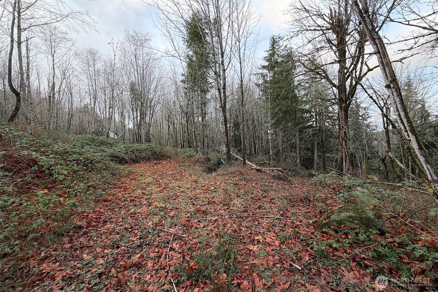 27005 262nd Avenue SE Ravensdale WA 98051