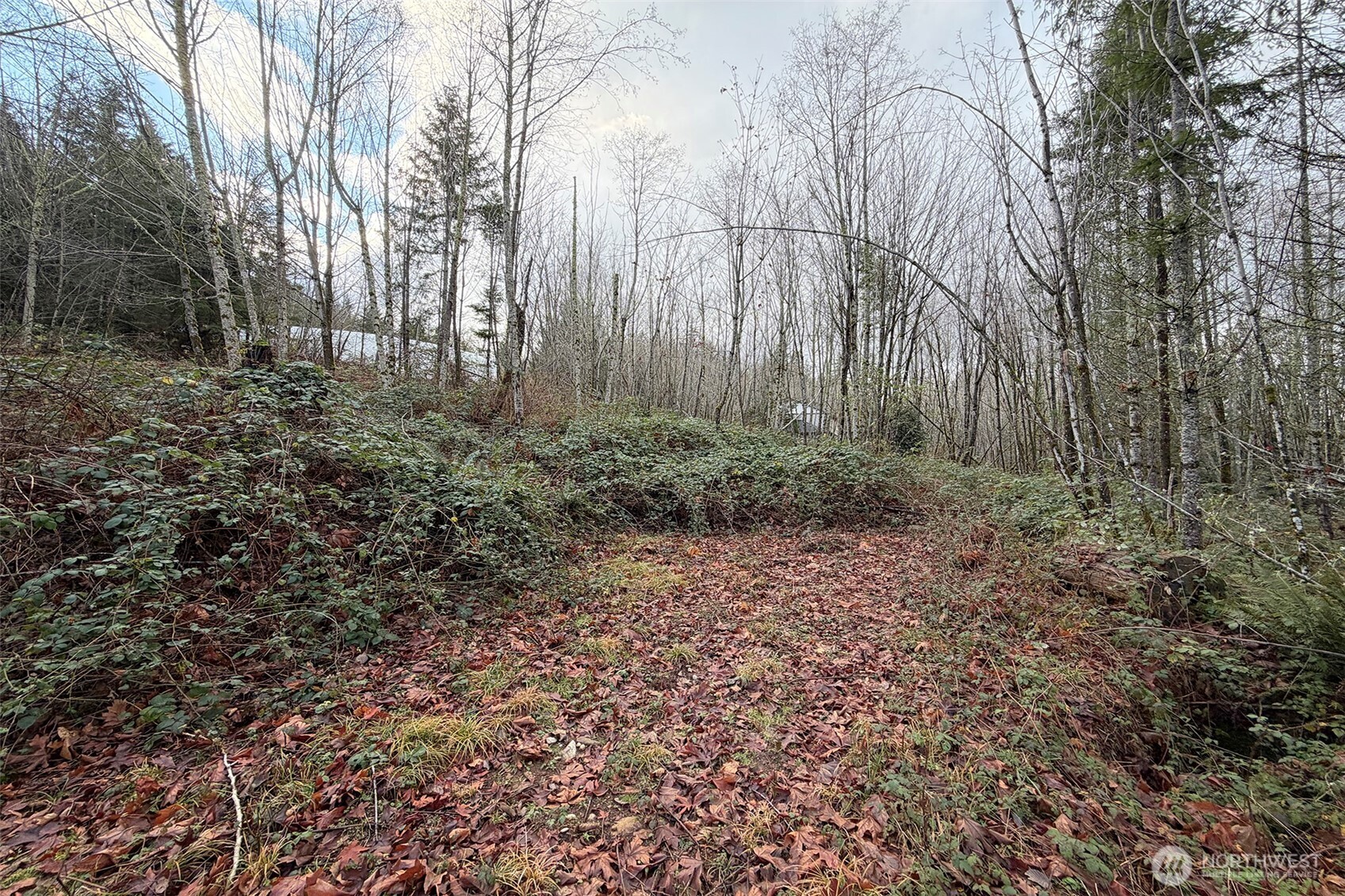 27005 262nd Avenue SE Ravensdale WA 98051