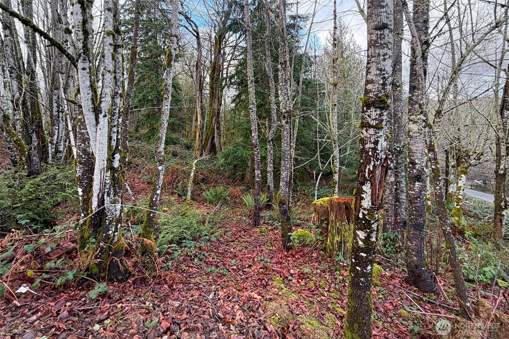 27005 262nd Avenue SE Ravensdale WA 98051