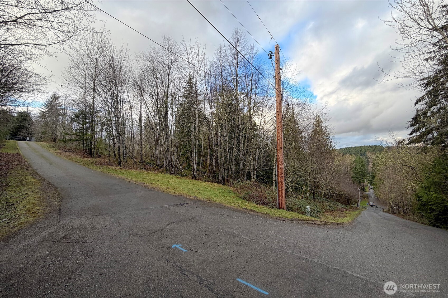 27005 262nd Avenue SE Ravensdale WA 98051