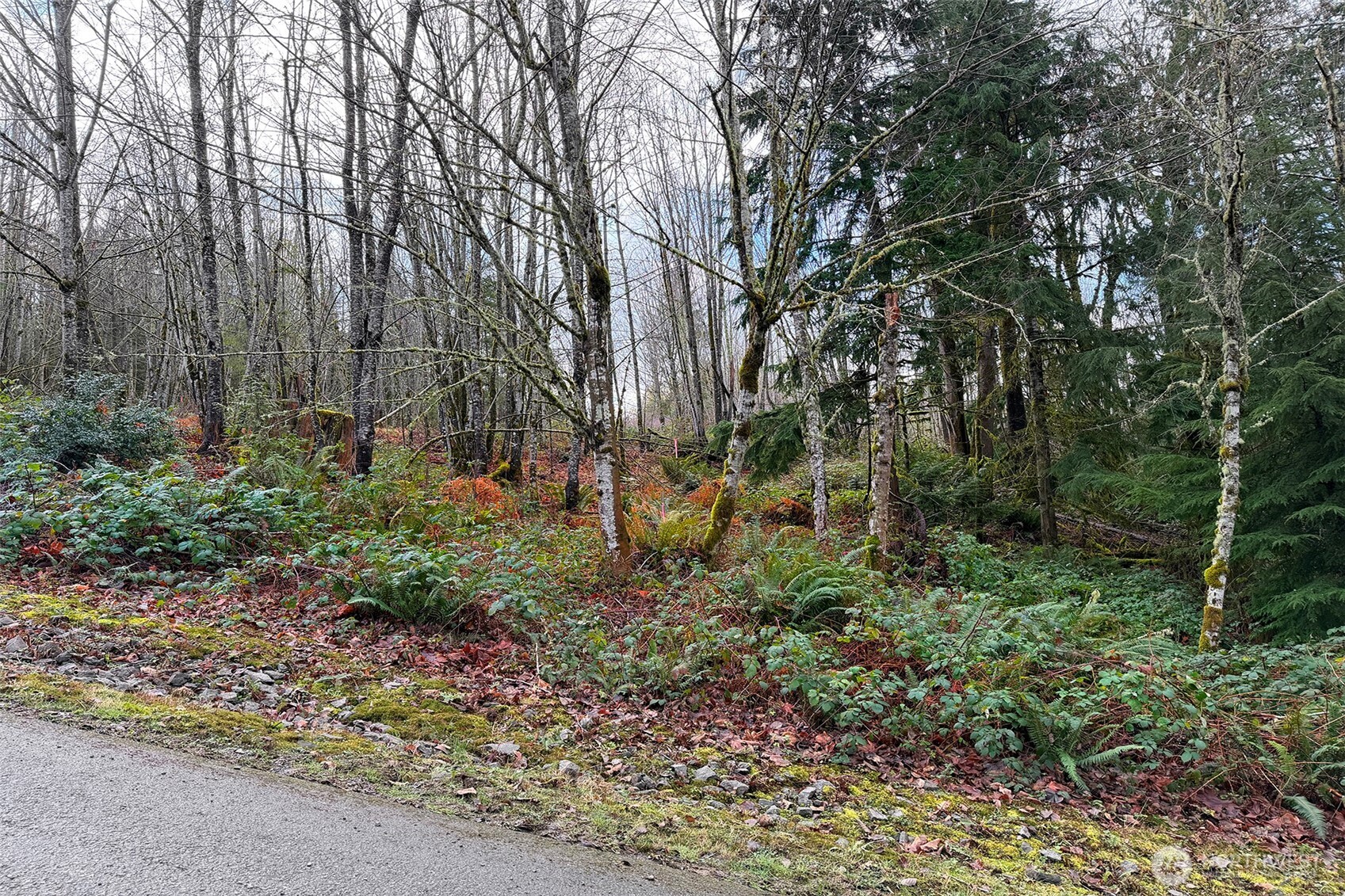 27005 262nd Avenue SE Ravensdale WA 98051