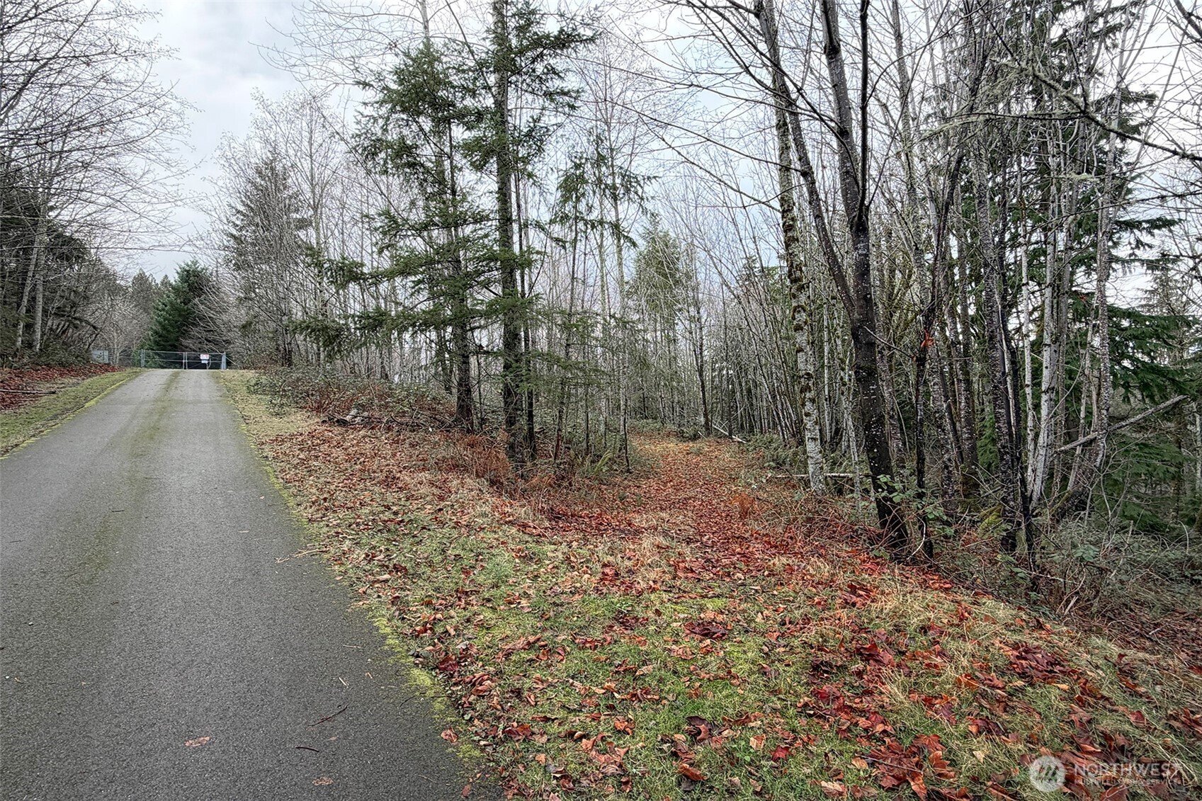 27005 262nd Avenue SE Ravensdale WA 98051